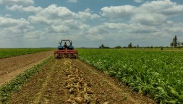 حول الموسم الفلاحي 2022-2023 بجهة الدار البيضاء – سطات إلى غاية 26/12/2022