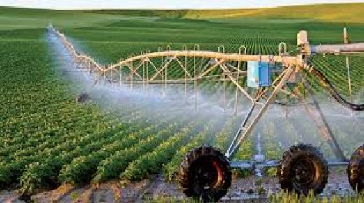 تثمين الموارد المائية بمدار دكالة بفضل التجميع الفلاحي   