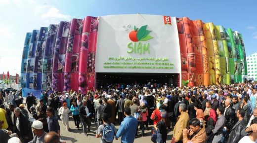 الملتقى الدولي للفلاحة بالمغرب من 02 إلى 07 ماي 2023 بمكناس