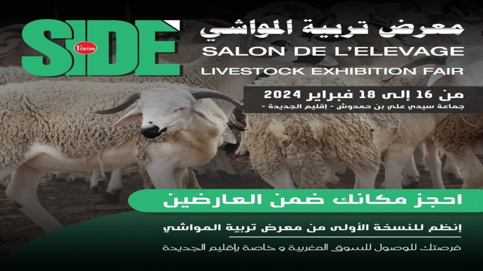 بجماعة سيدي علي بنحمدوش اقليم الجديدة:معرض تربية المواشي من 16الى 18 فبراير 2024