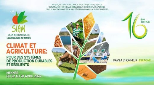 المعرض الدولي للفلاحة بالمغرب: النسخة السادسة عشرة تَعد بتحقيق نجاح كبير