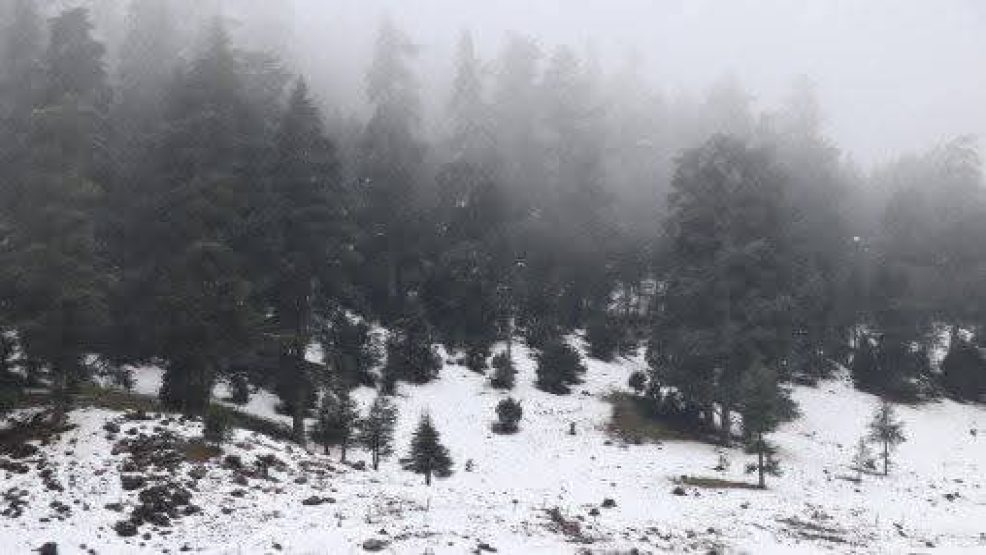 رياح عاصفية قوية وتساقطات ثلجية وزخات رعدية وطقس بارد من الإثنين إلى الأربعاء بعدد من مناطق المملكة (نشرة إنذارية)