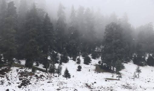 رياح عاصفية قوية وتساقطات ثلجية وزخات رعدية وطقس بارد من الإثنين إلى الأربعاء بعدد من مناطق المملكة (نشرة إنذارية)