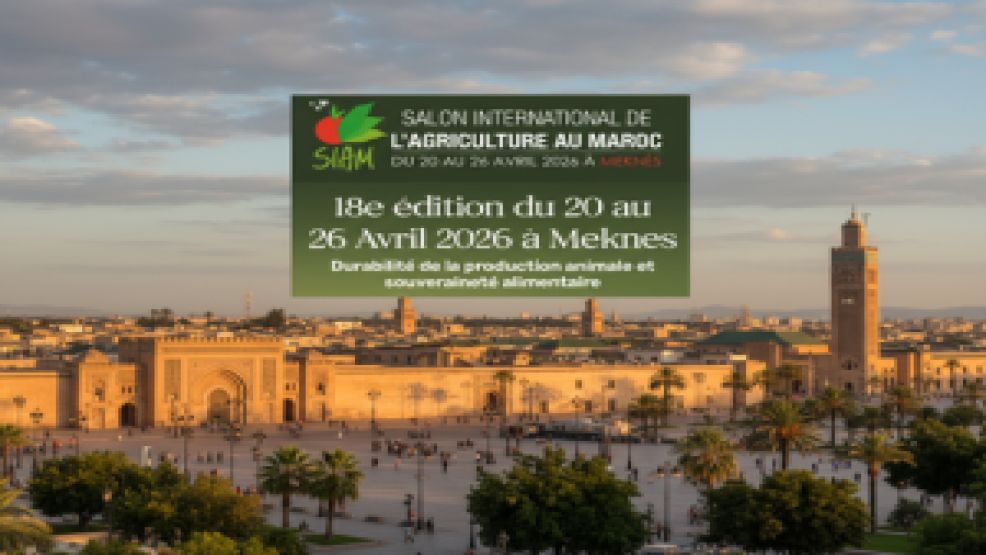 المعرض الدولي للفلاحة بالمغرب 2026: منصة إفريقية رائدة لتعزيز الابتكار والتعاون المستدام في القطاع الفلاحي