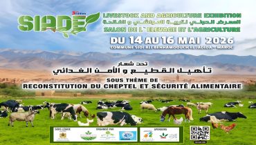 الجديدة على موعد مع حدث دولي كبير