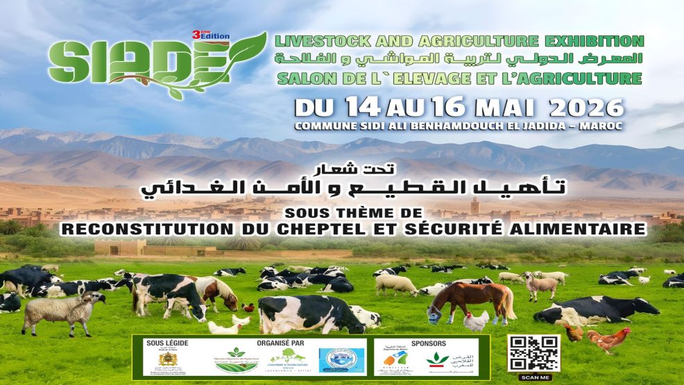 الجديدة على موعد مع حدث دولي كبير