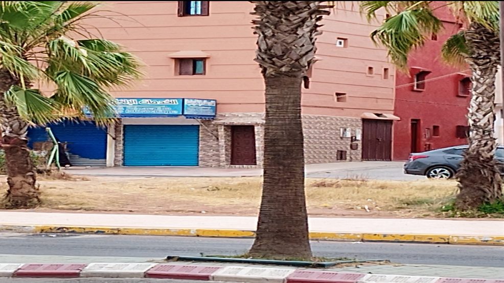 غياب المساحات الخضراء بشارع محمد الخامس بأزمور يثير التساؤلات حول استراتيجية المجلس الجماعي