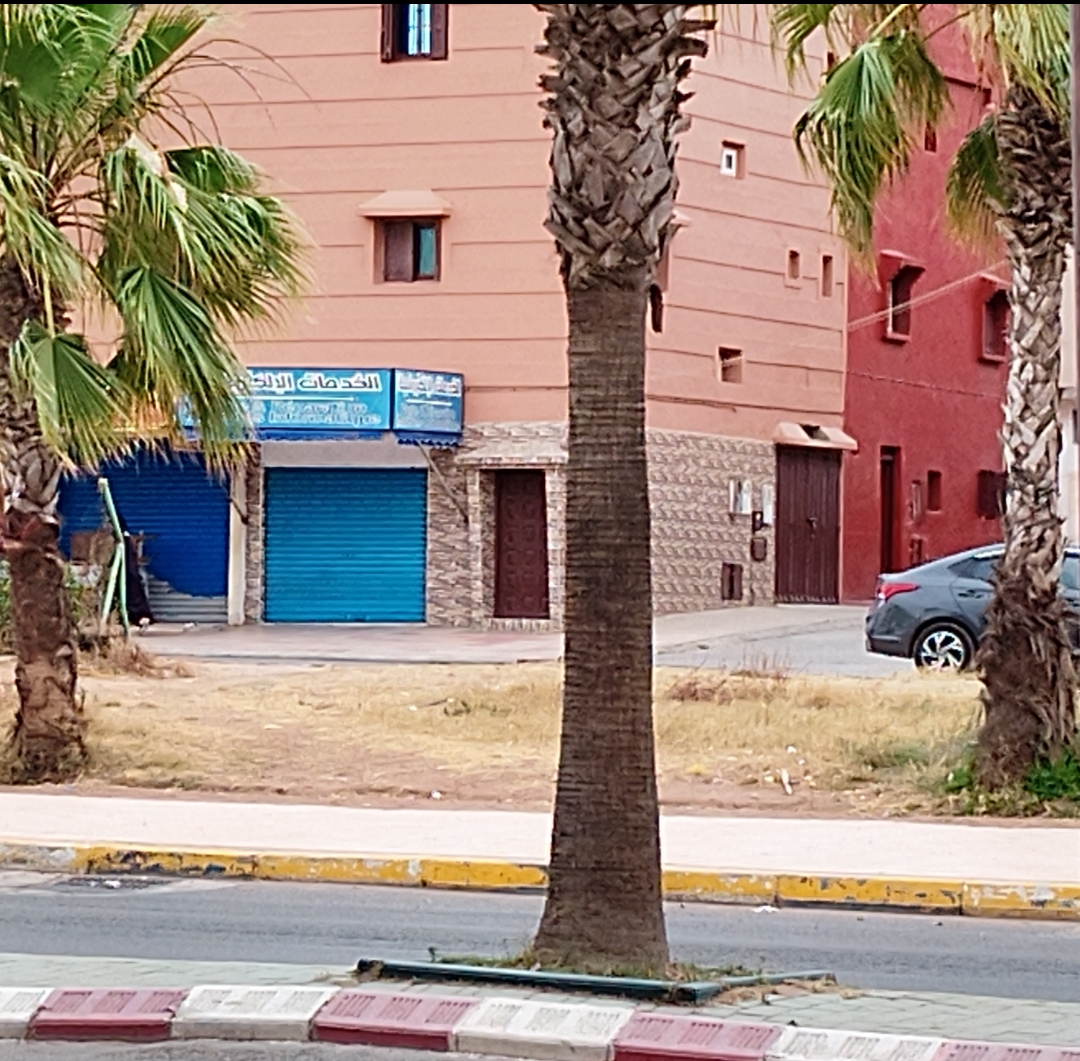 غياب المساحات الخضراء بشارع محمد الخامس بأزمور يثير التساؤلات حول استراتيجية المجلس الجماعي