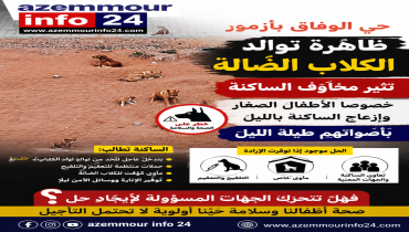 حي الوفاق بأزمور : ظاهرة توالد الكلاب الضالة تثير مخاوف الساكنة وتطرح تساؤلات حول التدخل العاجل