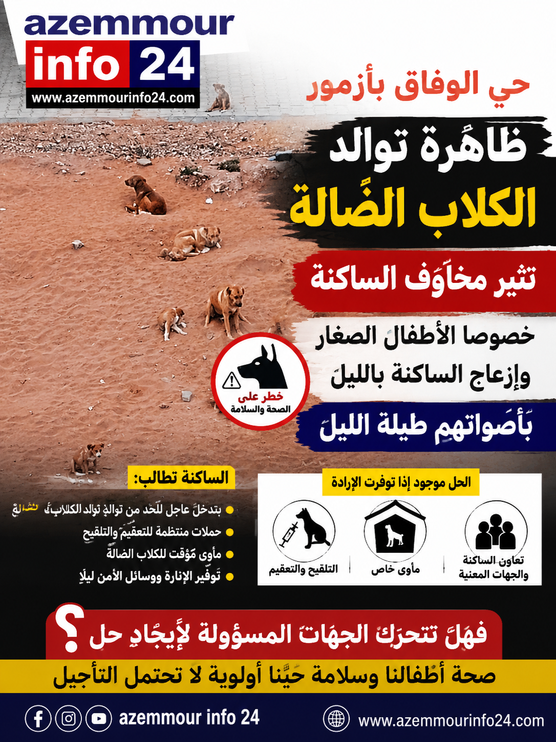 حي الوفاق بأزمور : ظاهرة توالد الكلاب الضالة تثير مخاوف الساكنة وتطرح تساؤلات حول التدخل العاجل