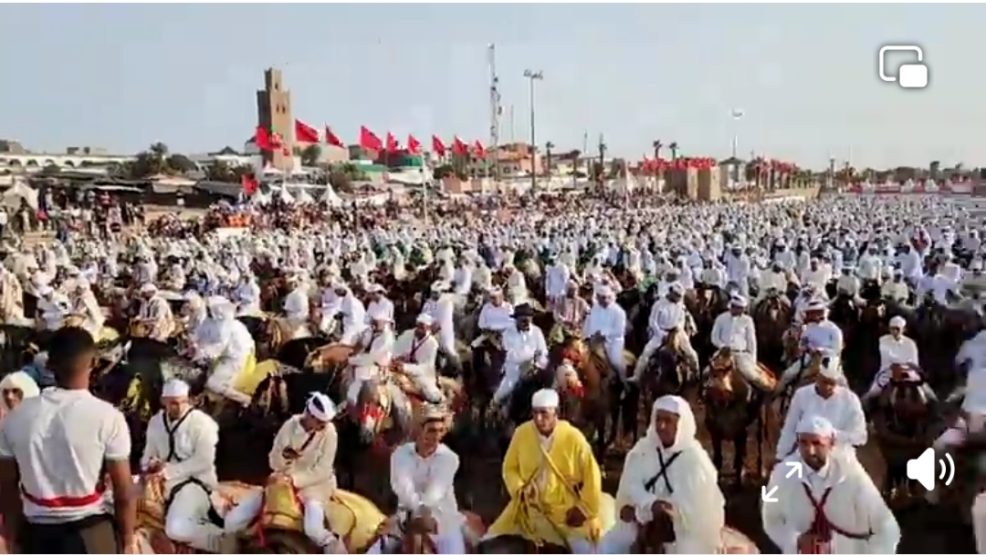 134 سربة و2140 فارسا في إحصاء قياسي لموسم مولاي عبد الله أمغار